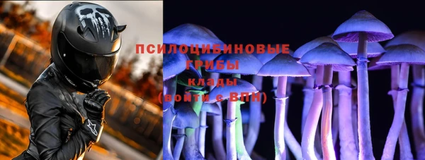 мет Новодвинск