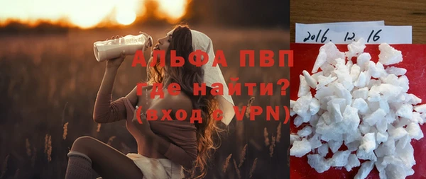 гидра Няндома