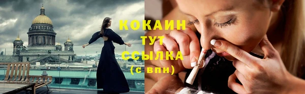 тгк Новозыбков