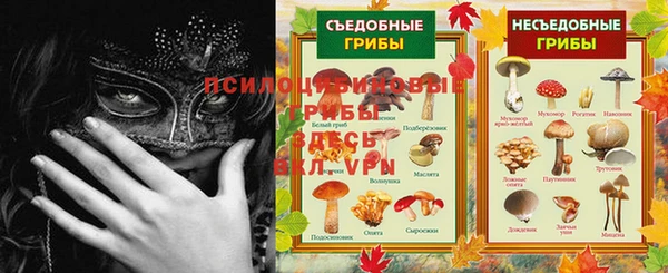 тгк Новозыбков