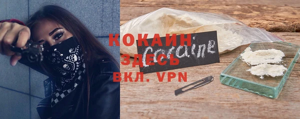 тгк Новозыбков