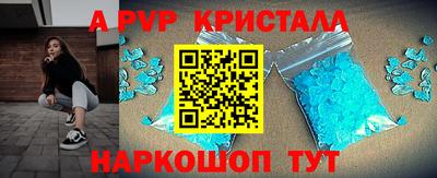 jwh Кингисепп